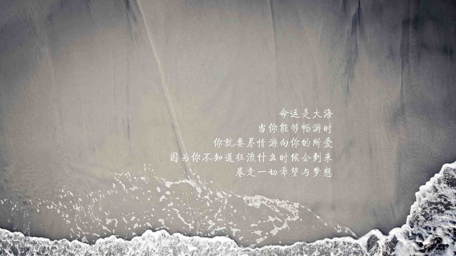 开云官方网页登录-奇才调整防守策略限制对方得分主力，奇才防守差