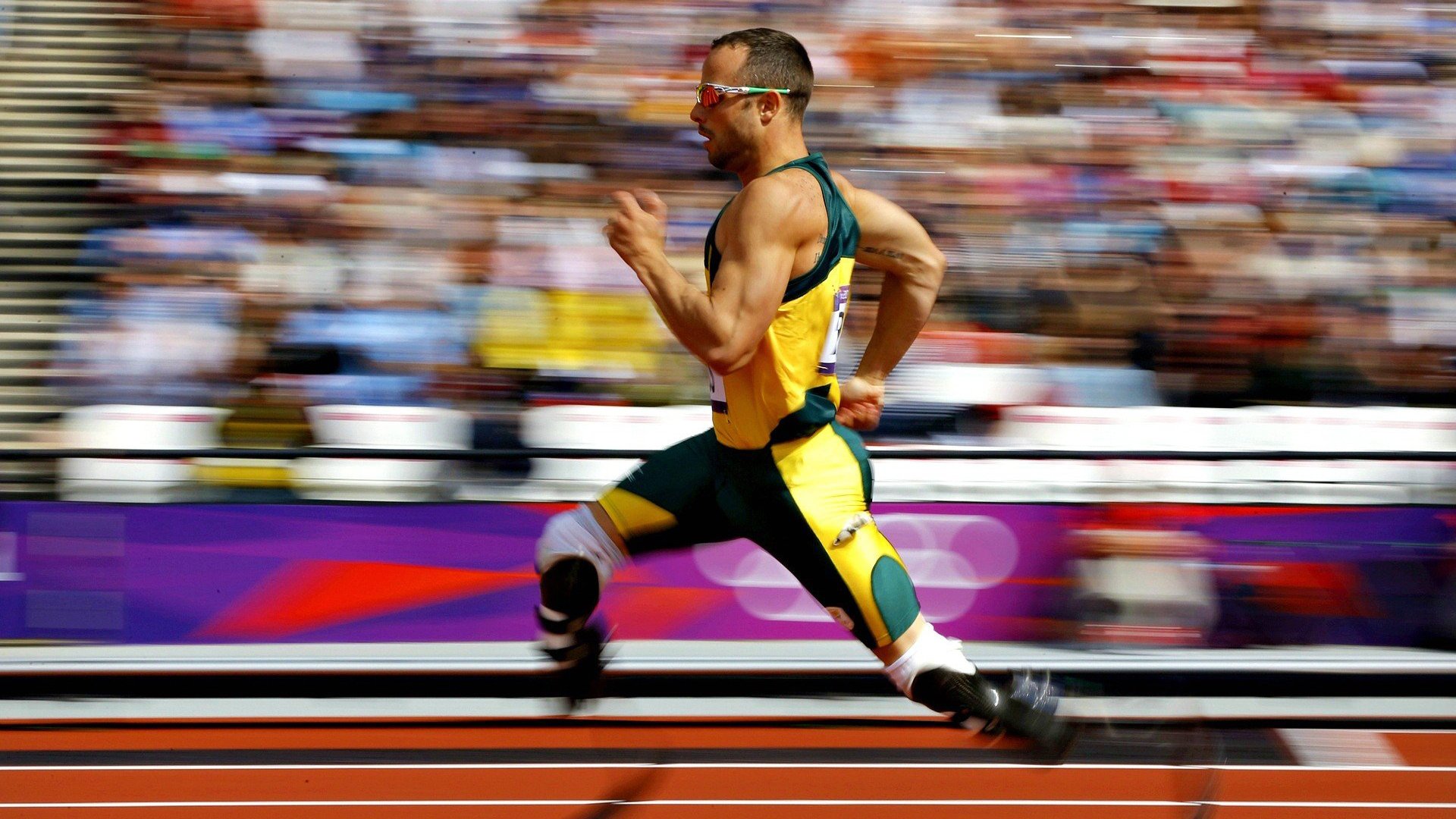 巴西马术协会与德国马术协会建立战略合作伙伴关系，共同推动马术文化发展。